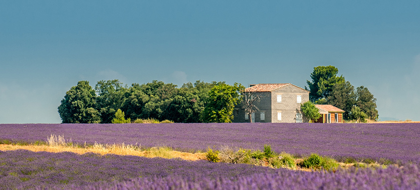 Provence プロヴァンス