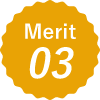 Merit03